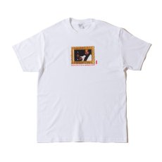 画像4: ACAPULCO GOLD / THAT’S LIFE TEE (4)