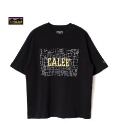 画像1: CALEE(キャリー) / ×OVERLAND REFLECTOR SPIDER WEB BOX LOGO TEE (1)