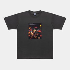 画像2: APPLEBUM(アップルバム) / "UTOPIA" PHOTO T-SHIRT 6.2OZ (2)