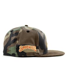 画像3: NEW ERA / 59FIFTY TENSMO TENNESSEE SMOKIES BEAR (3)