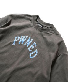 画像3: PWNED(パウンド) / PWNED LOGO TEE (3)