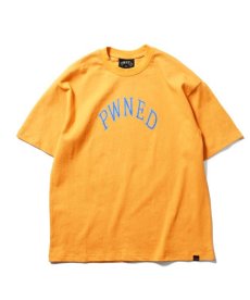 画像5: PWNED(パウンド) / PWNED LOGO TEE (5)