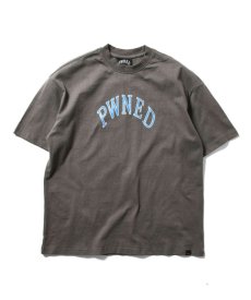 画像2: PWNED(パウンド) / PWNED LOGO TEE (2)