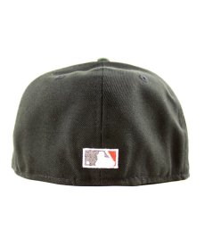 画像3: NEW ERA /Houston Astros - 59FIFTY SILVER ANV BLACK/WD CAMO (3)