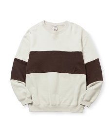 画像2: CALEE(キャリー) / BICOLOR CREW NECK SW (2)