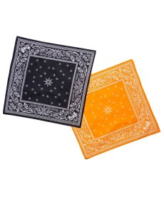 画像1: HAIGHT / [YARZ] PAISLEY BANDANA (1)