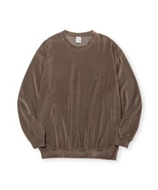 画像2: CALEE(キャリー) / VELOUR CREW NECK SH (2)