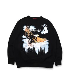 画像1: HIDEANDSEEK(ハイドアンドシーク) / Eagle Sweat Shirt (1)