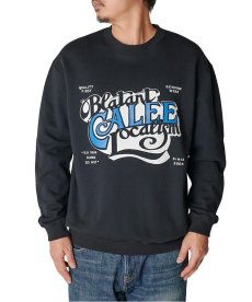 画像9: CALEE(キャリー) / CAL BL LOGO CREW NECK SW ＜NATURALLY PAINT DESIGN＞ (9)