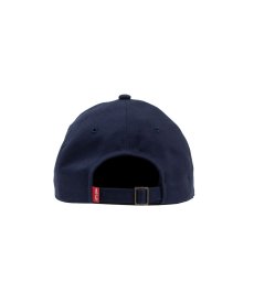 画像5: ACAPULCO GOLD(アカプルコゴールド) / TIGER 6-PANEL CAP (5)