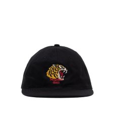 画像2: ACAPULCO GOLD(アカプルコゴールド) / TIGER 6-PANEL CAP (2)