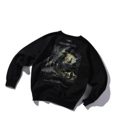 画像1: EL REIGN(エルレイン) / "The Unaware Sinner" CREW NECK (1)