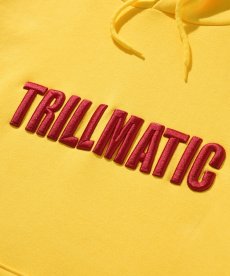 画像13: BLEND(ブレンド) / TRILLMATIC HOODIE (13)