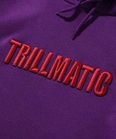 画像12: BLEND(ブレンド) / TRILLMATIC HOODIE (12)