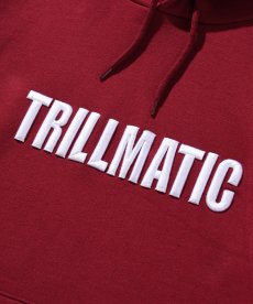 画像11: BLEND(ブレンド) / TRILLMATIC HOODIE (11)