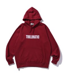 画像3: BLEND(ブレンド) / TRILLMATIC HOODIE (3)