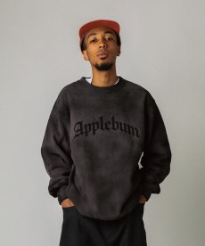 画像10: APPLEBUM(アップルバム) / Airbrush Crew Sweat (10)