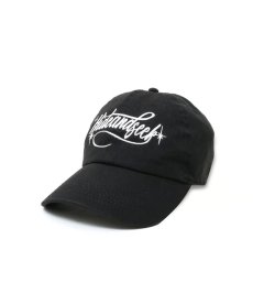 画像2: HIDEANDSEEK(ハイドアンドシーク) / Cursive Logo Baseball Cap (2)